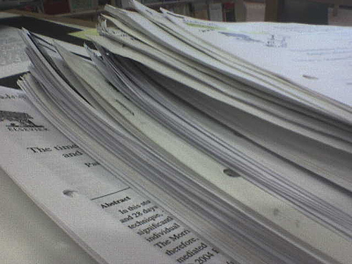 The First Academic Paper Experience